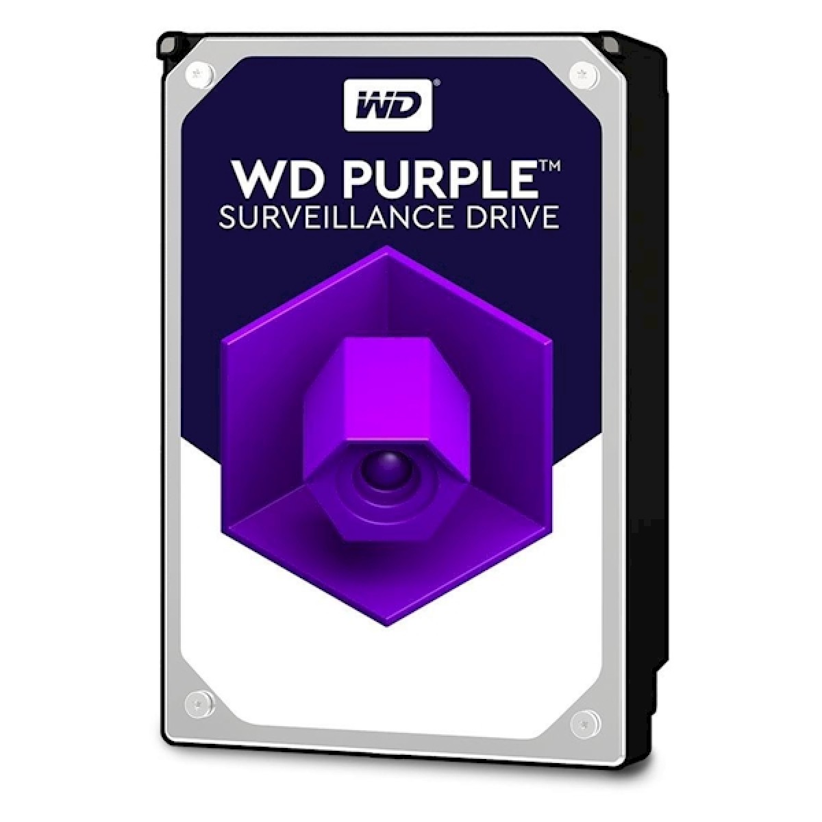 WD Purple SATA 1TB